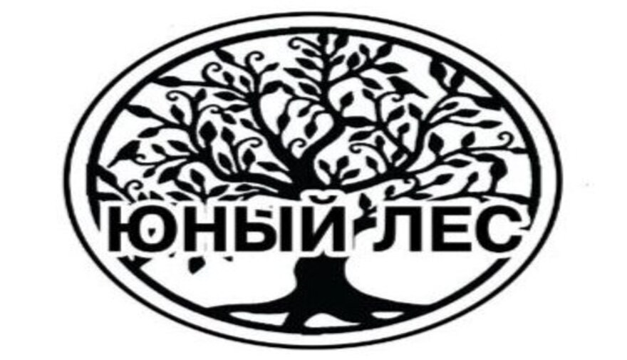 Купить лиственницу